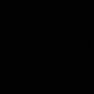 Meet your Posher, Bobby